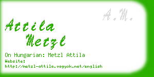 attila metzl business card